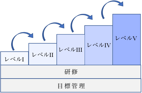 ジェネラリストのクリニカルラダー概念図